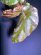 画像1: Begonia sp. "雪の宿" Lampung sumatera【LA0217-01】 (1)